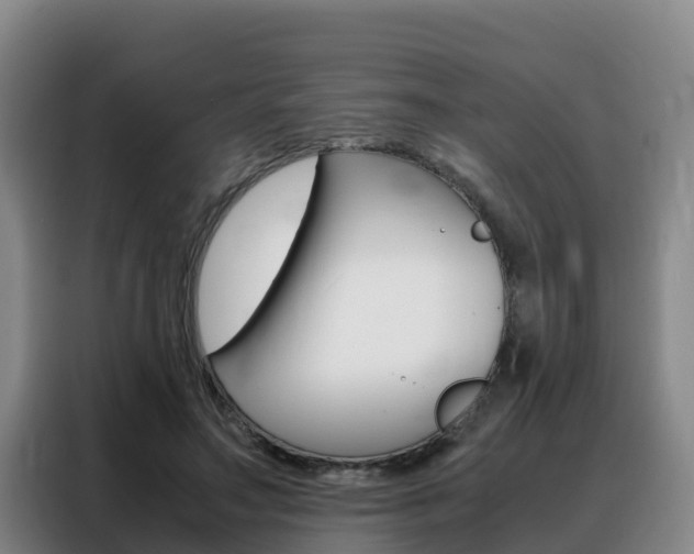 X0000088360499200705220736