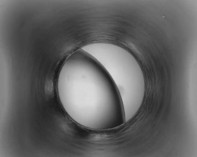 X0000088360500200705220736