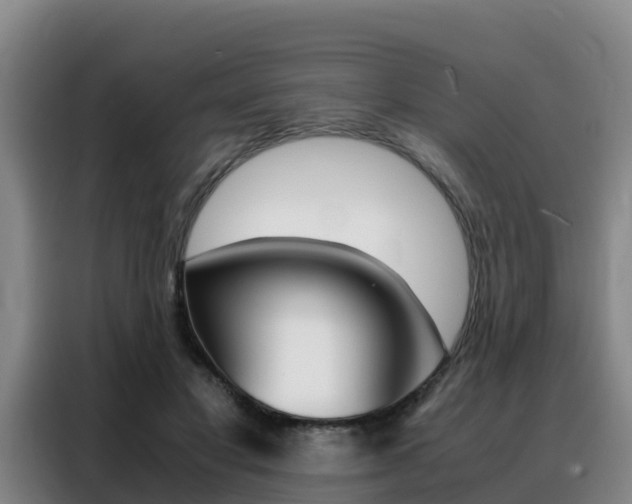 X0000088360501200705220736