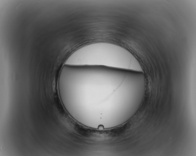X0000088360502200705220736