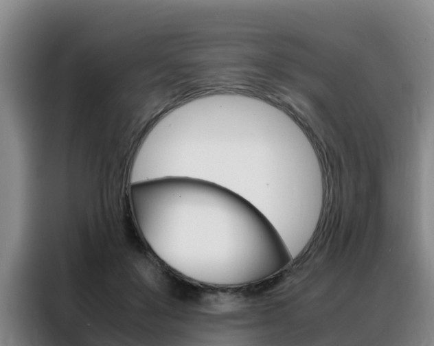 X0000088360503200705220736