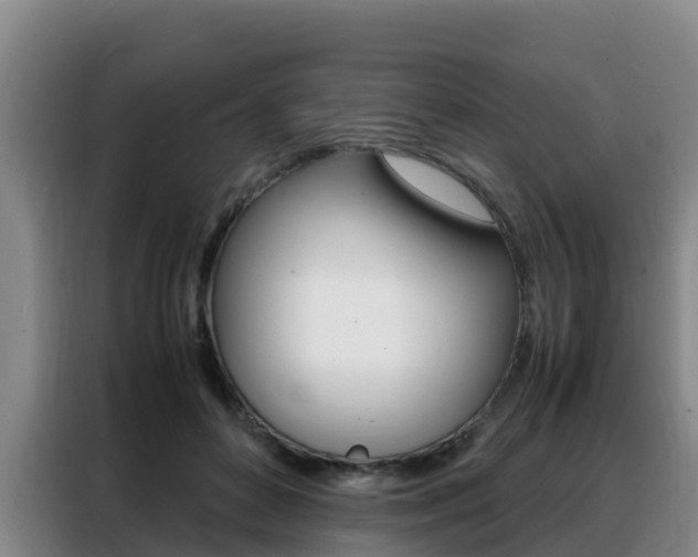 X0000088360504200705220736