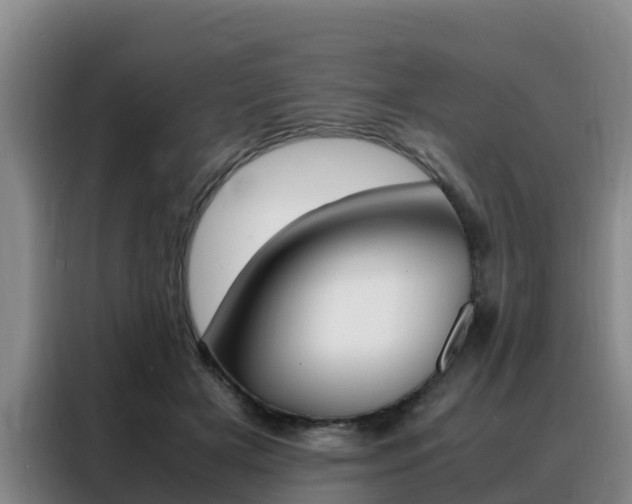 X0000088360505200705220736