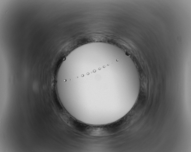 X0000088360507200705220735