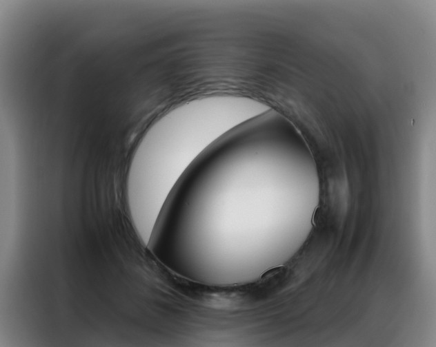 X0000088360508200705220735