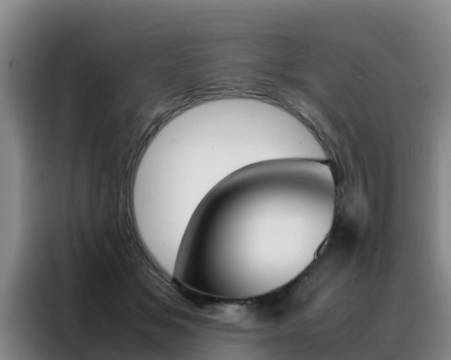 X0000088360509200705220735