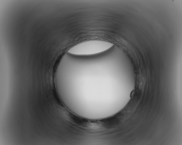 X0000088360510200705220735