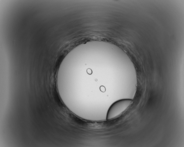 X0000088360511200705220735