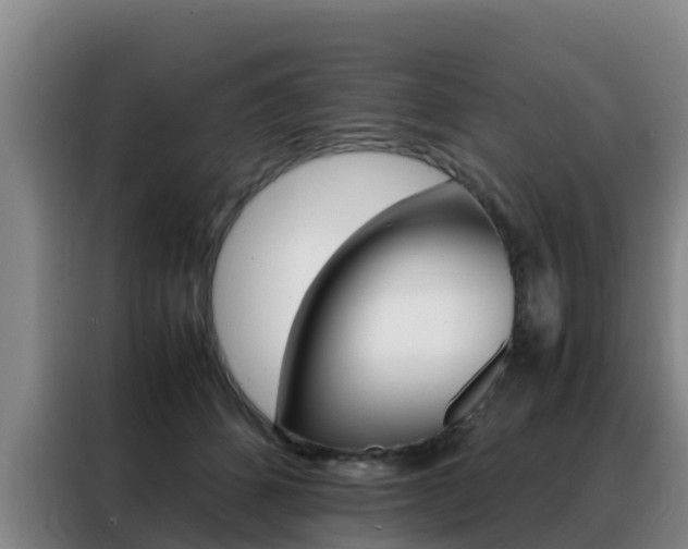 X0000088360512200705220735