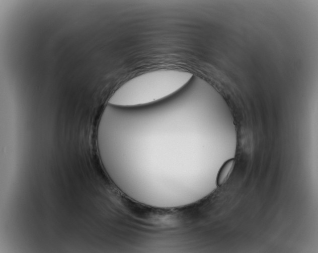 X0000088360514200705220735