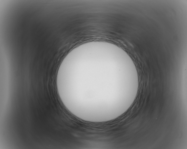 X0000088360515200705220735