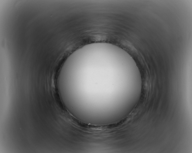X0000088360516200705220735