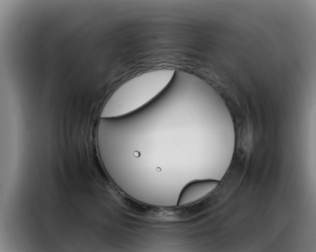X0000088360518200705220735
