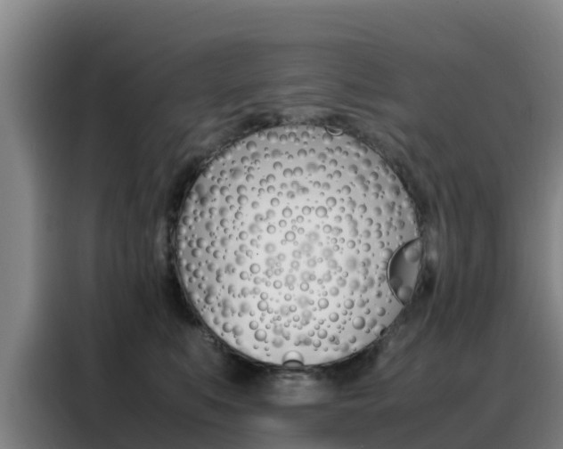 X0000088360519200705220735
