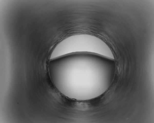 X0000088360520200705220735