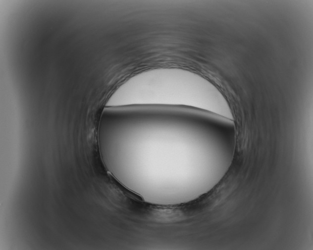 X0000088360521200705220735