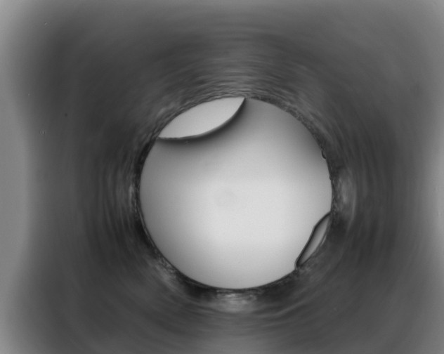 X0000088360522200705220735