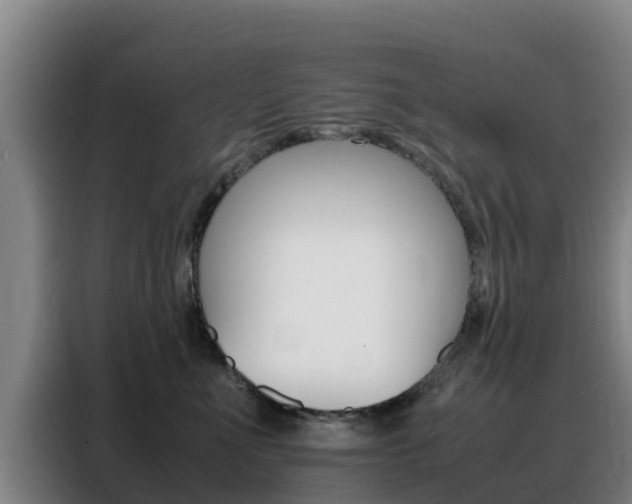 X0000088360523200705220735