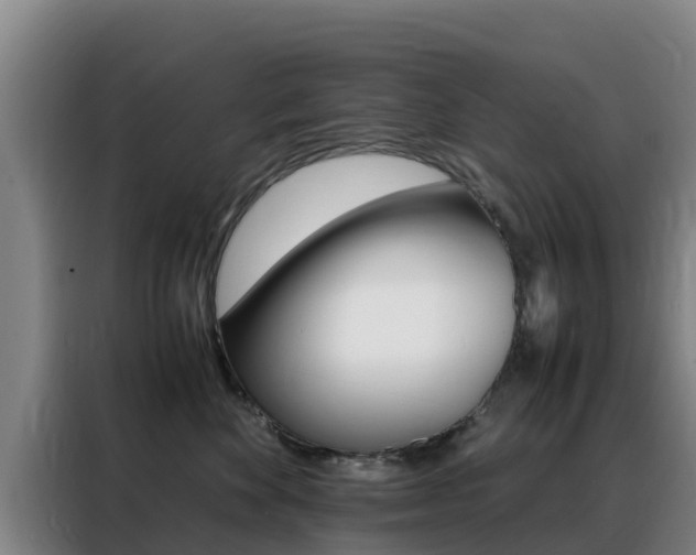 X0000088360524200705220735