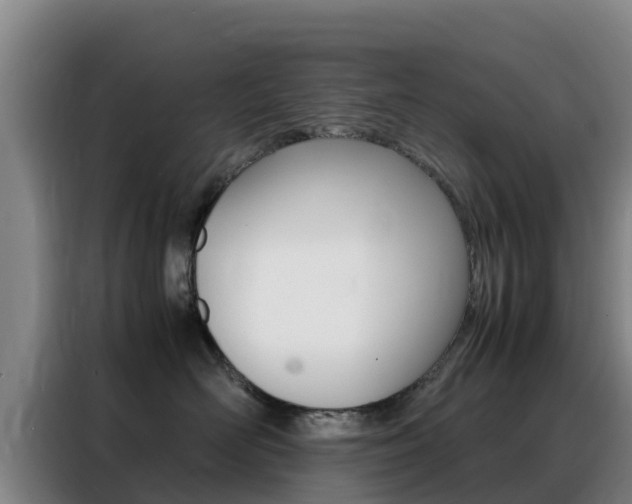 X0000088360526200705220735