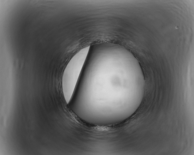 X0000088360528200705220735