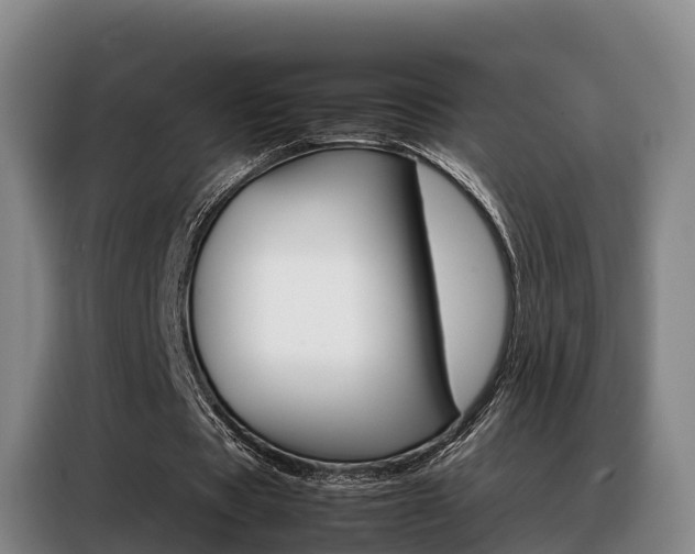 X0000088360529200705220735