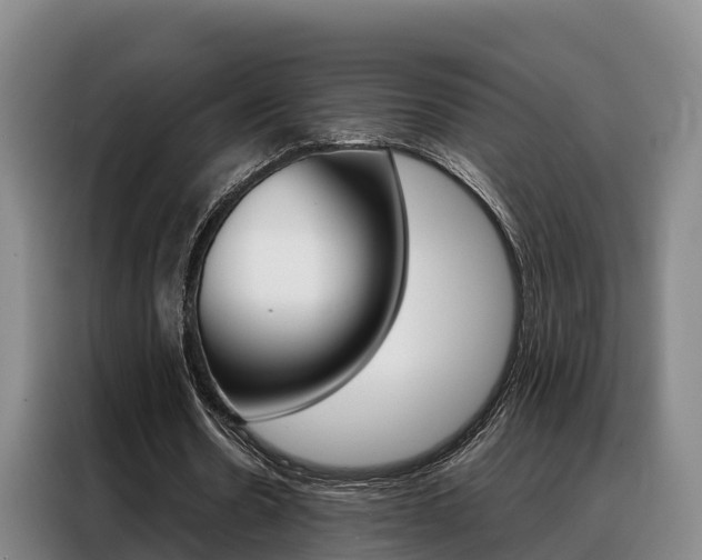 X0000088360530200705220735