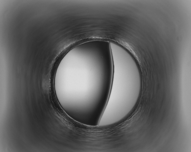 X0000088360531200705220735