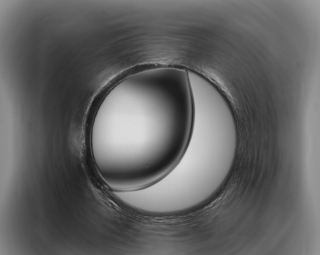 X0000088360532200705220735
