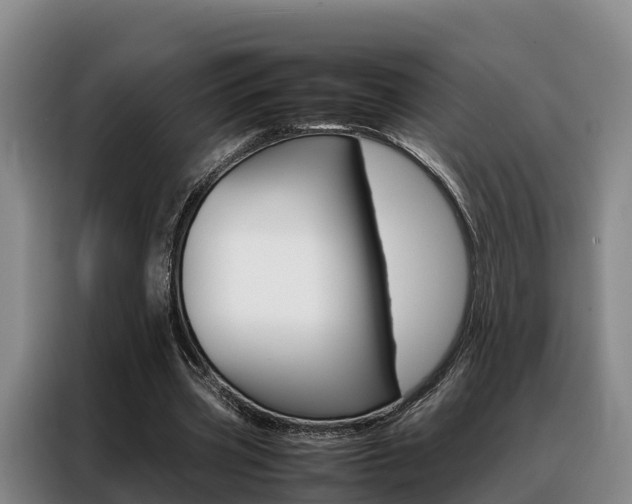 X0000088360533200705220735
