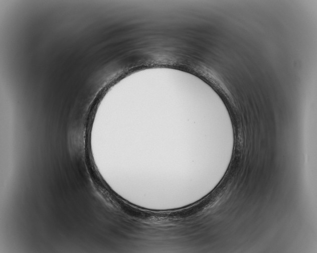 X0000088360534200705220735