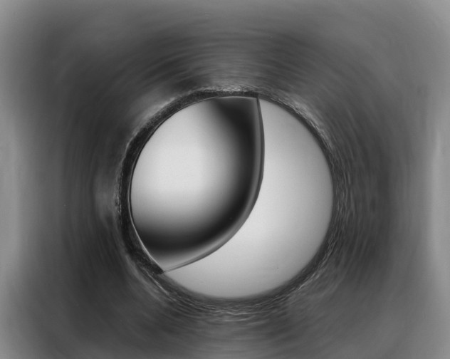 X0000088360536200705220735