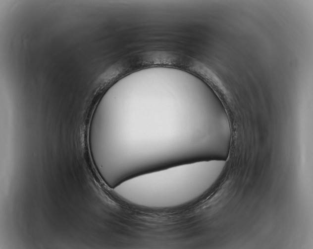 X0000088360537200705220735