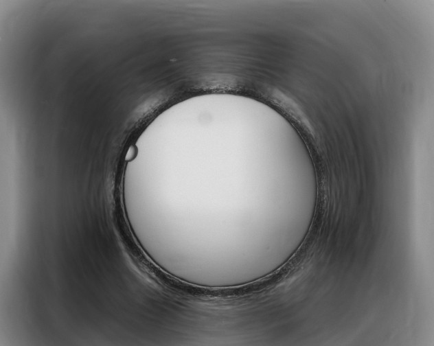 X0000088360538200705220735