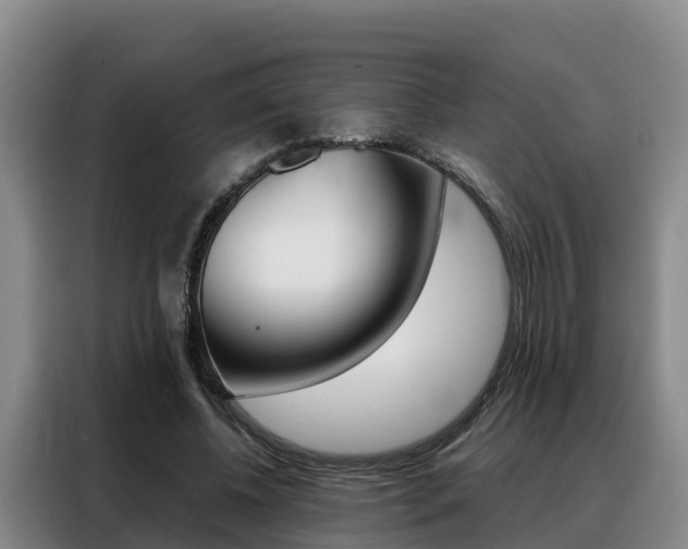 X0000088360540200705220735