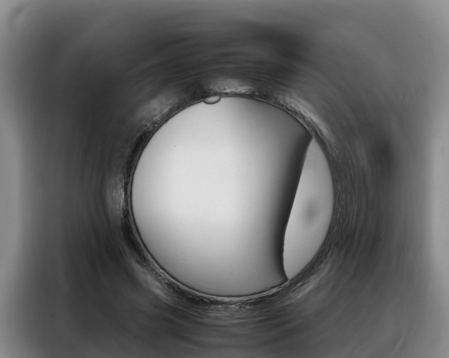 X0000088360541200705220735