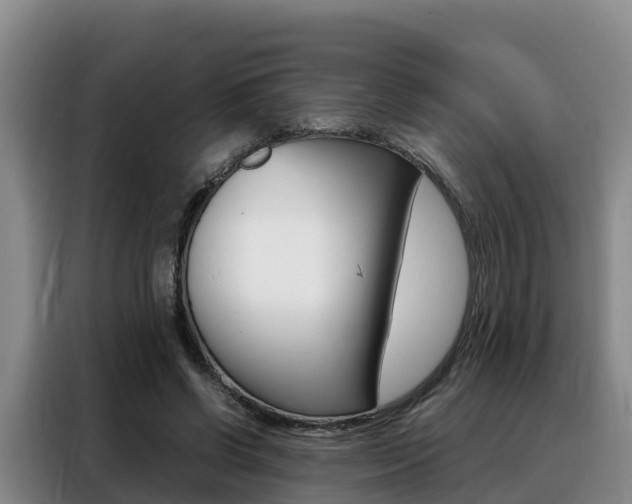 X0000088360542200705220735