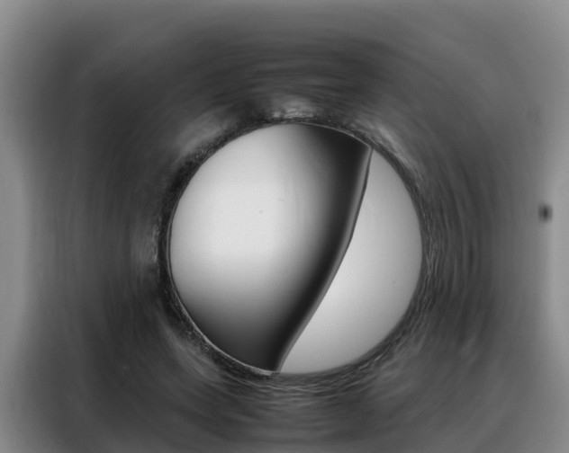 X0000088360543200705220735