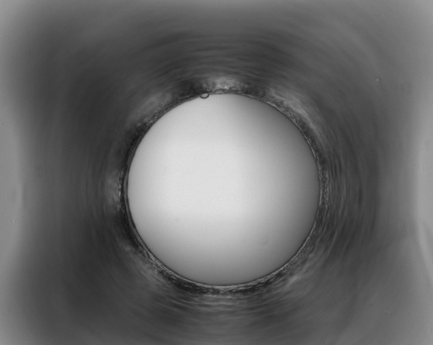 X0000088360545200705220735