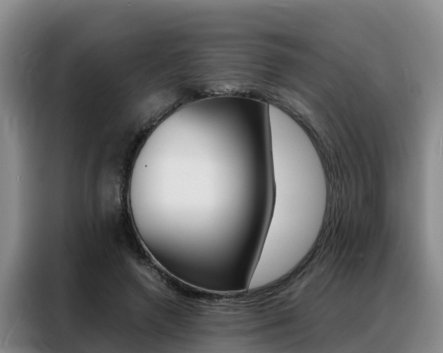 X0000088360546200705220735