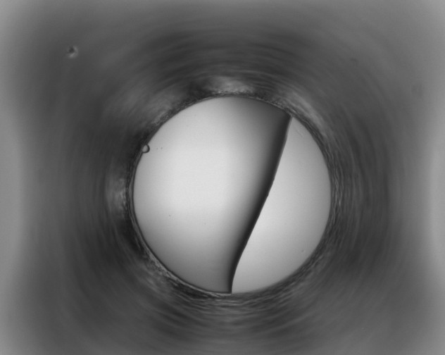 X0000088360549200705220735
