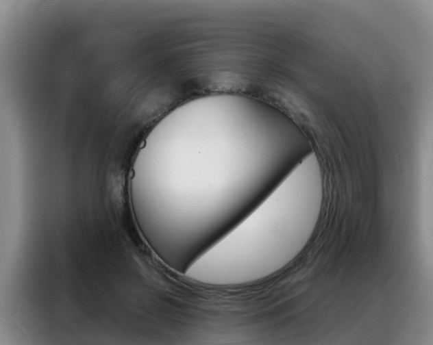 X0000088360550200705220735
