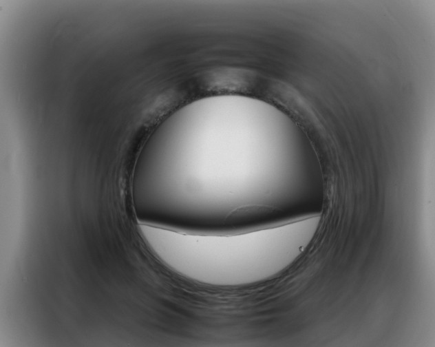 X0000088360551200705220735