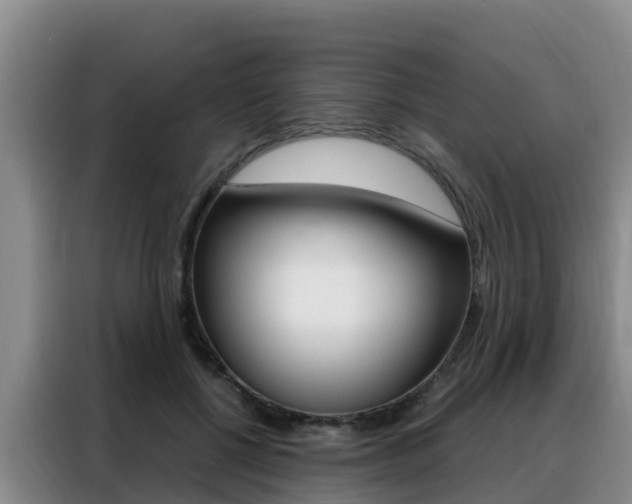 X0000088360552200705220735