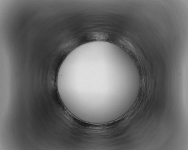 X0000088360553200705220735
