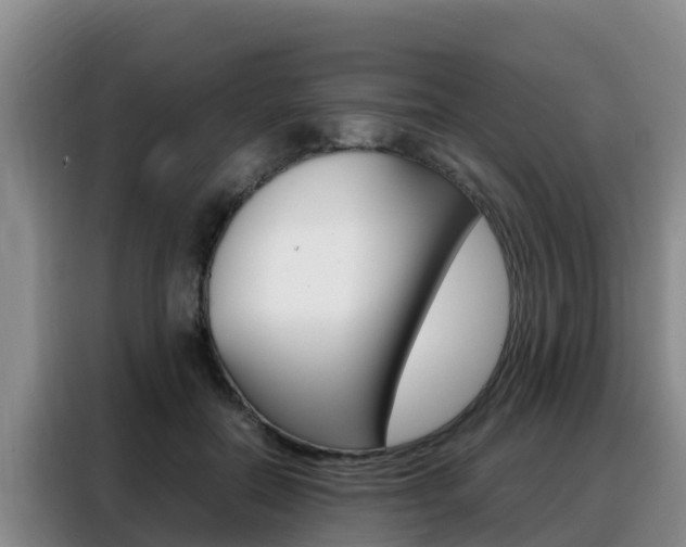 X0000088360554200705220735