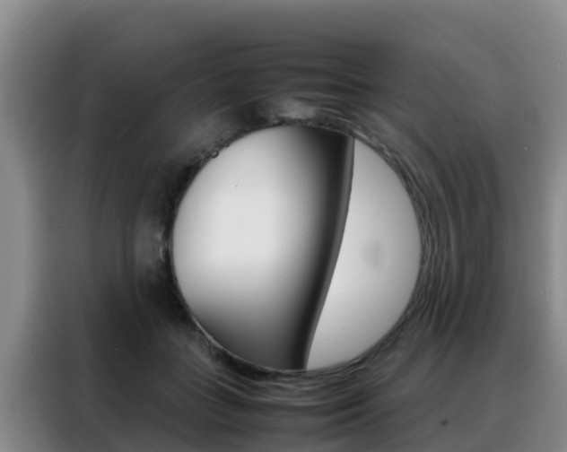 X0000088360555200705220735