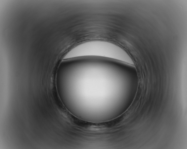 X0000088360556200705220735
