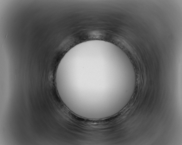 X0000088360557200705220735