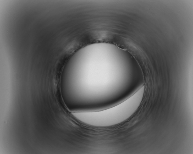 X0000088360558200705220735